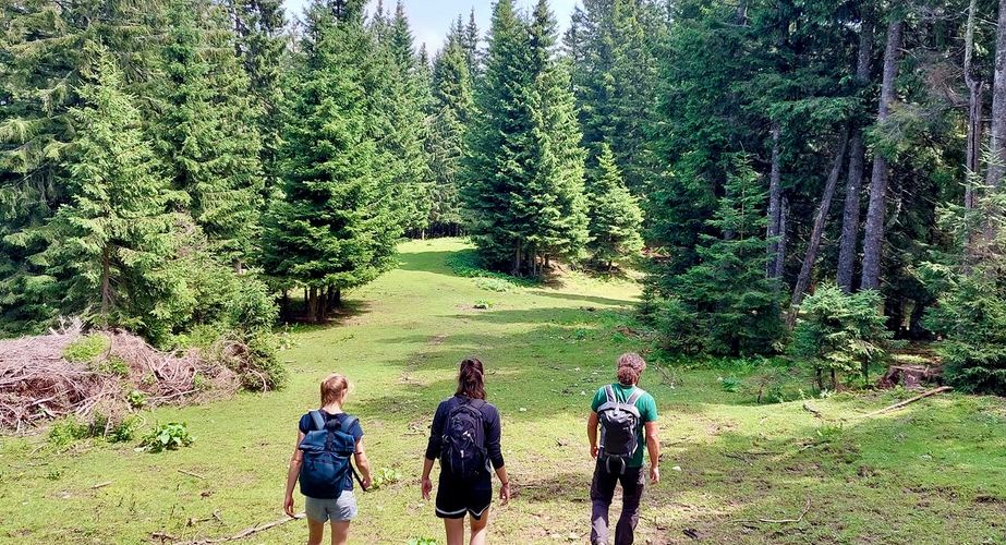 Prachtige omgeving Prachtige omgeving